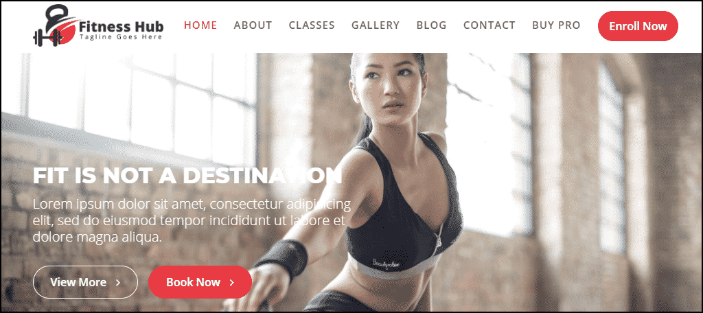 Fitness Hub WordPress theme