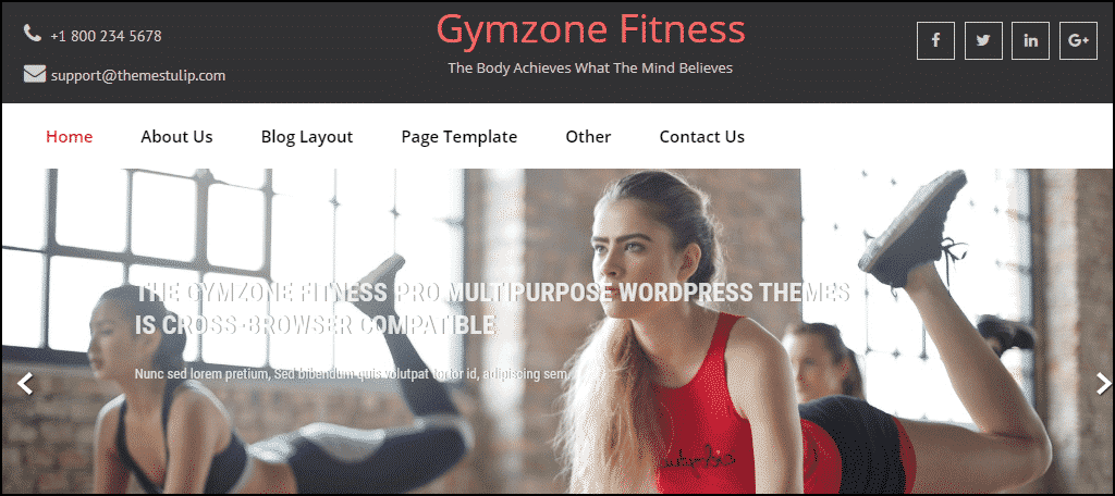Gymzone Fitness WordPress theme