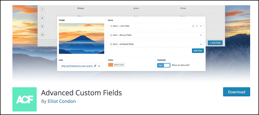 Advanced Custom Fields plugin
