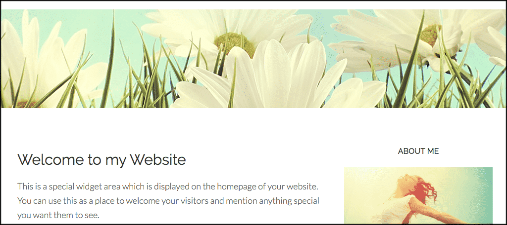 Beautiful Pro theme for advice blog