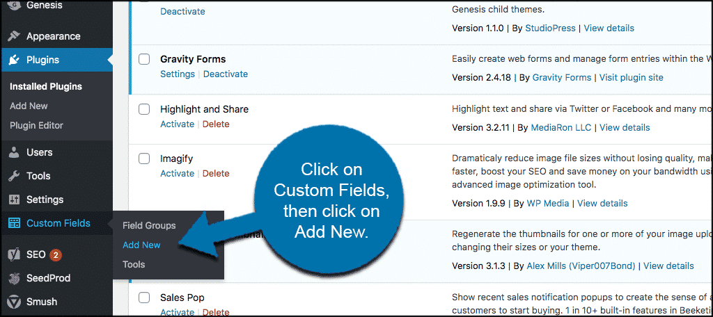 Click custom fields then add new