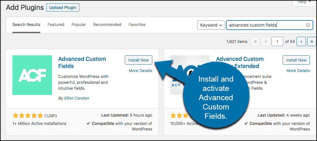 INstall and activate advanced custom fields