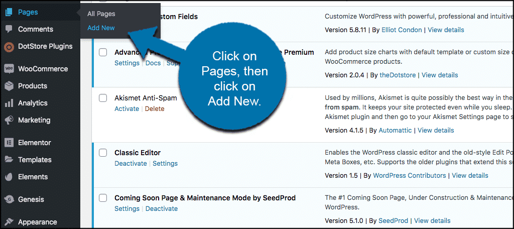 Click on pages and then add new