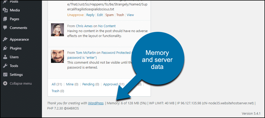 memory and IP data display in WordPress admin