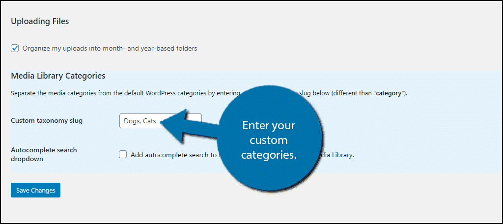 Custom Taxonomy