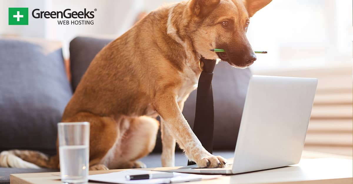 blog of dogs