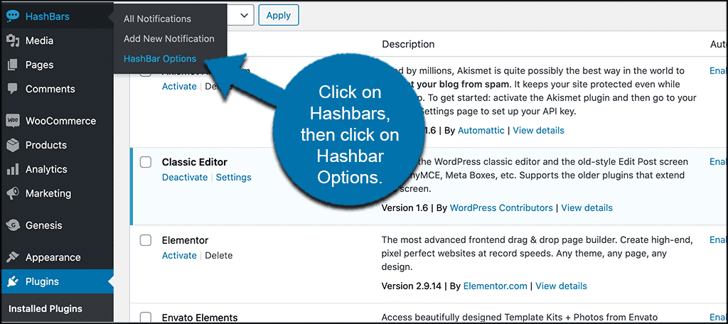 Haga clic en hashbars y luego en opciones de hashbar