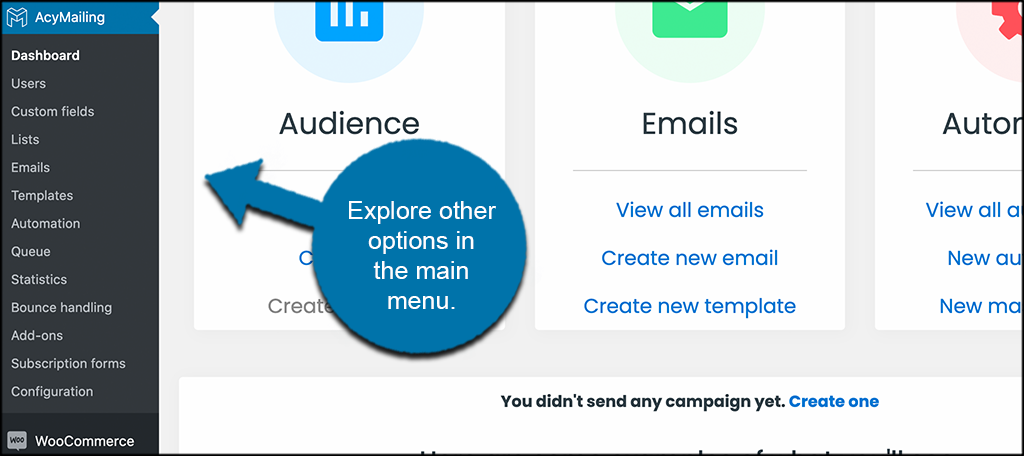 Explore other AcyMailing options