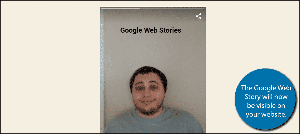 Google Web Stories Example