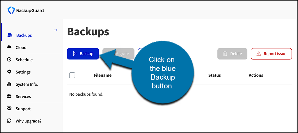 Click blue backup button