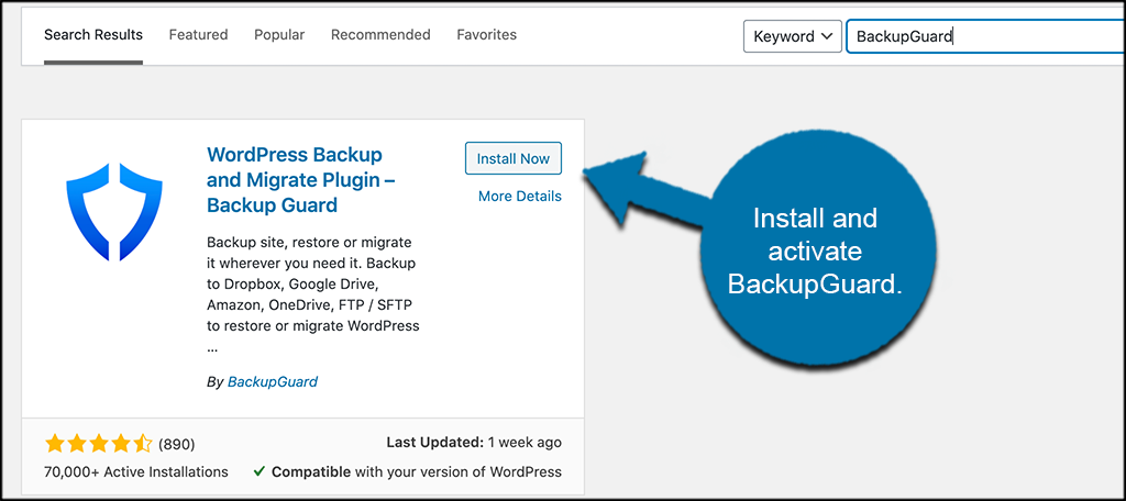 Install and activate backupguard