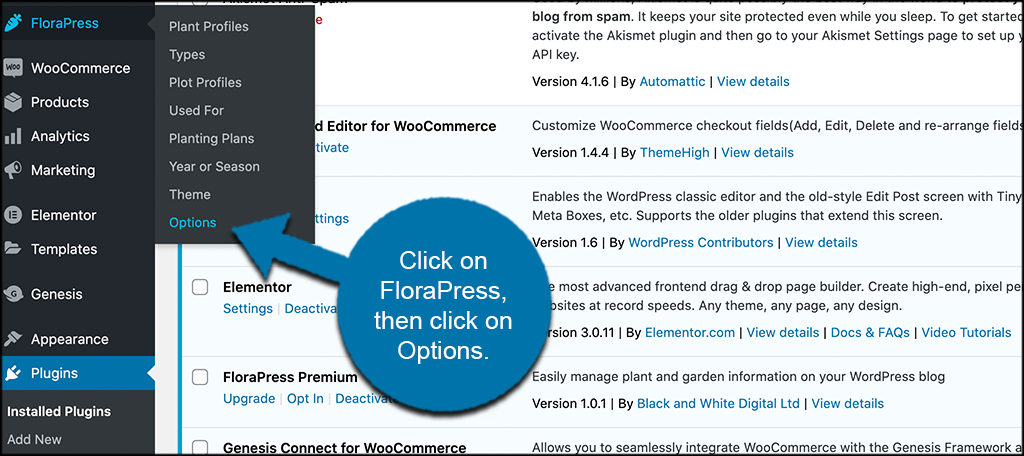 Click florapress then options