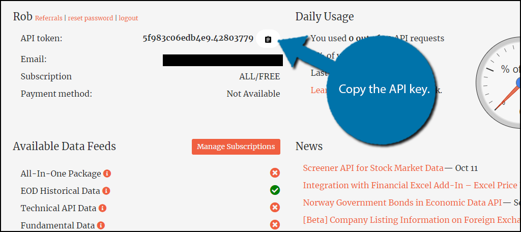 Copy API Key