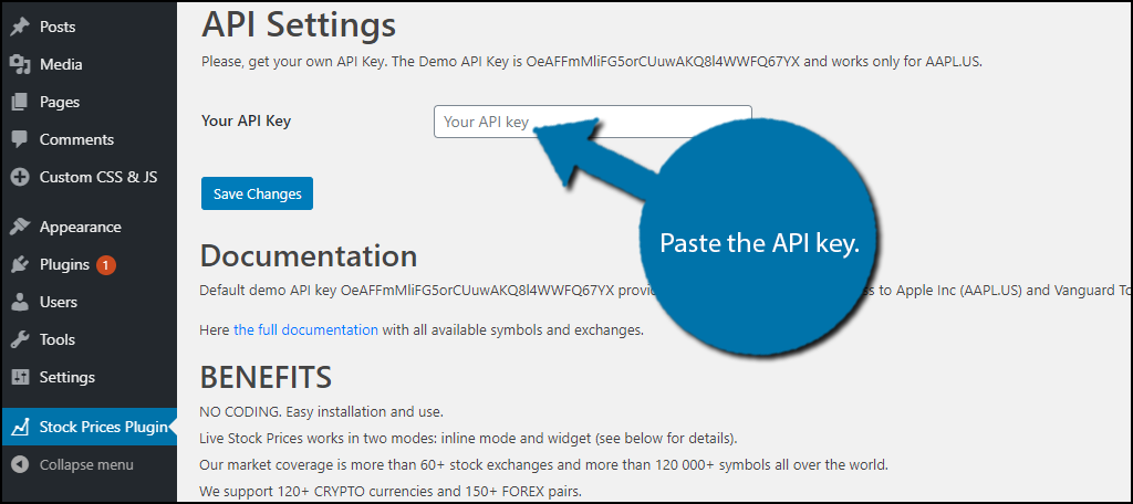 Paste API Key