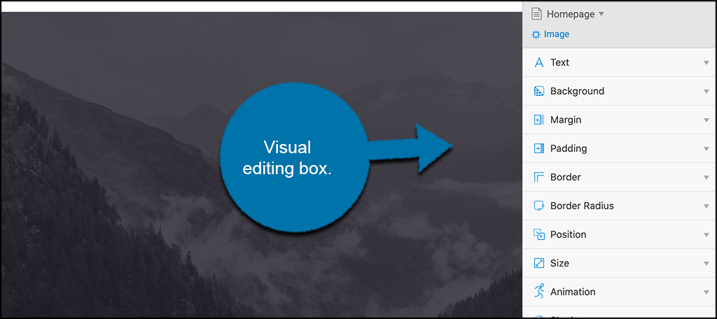 Visual editing box