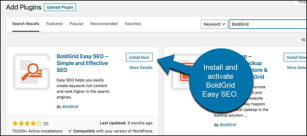 INstall and activate BoldGrid Easy SEO