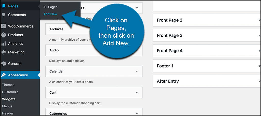 Click pages then add new