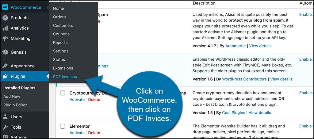 Access the invoice PDF system