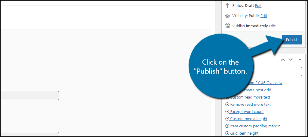 Publish Button