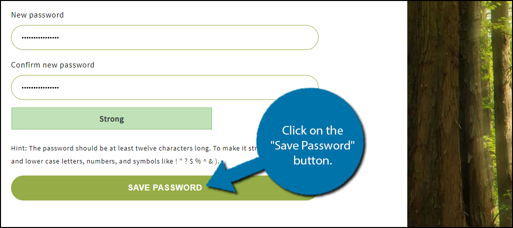 Save Password