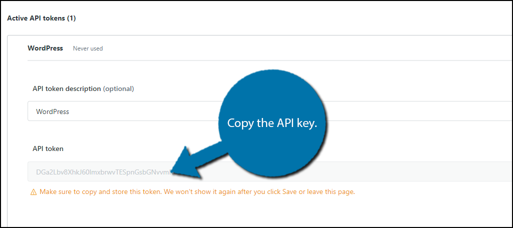 Copy API
