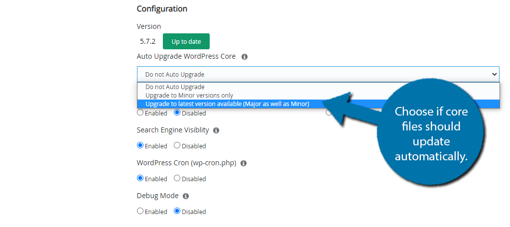 Automatic Core