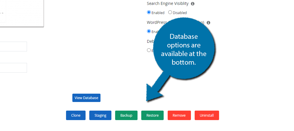 Database Options