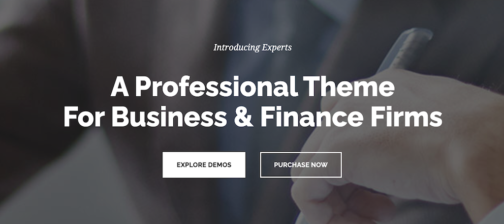 Finance Experts theme