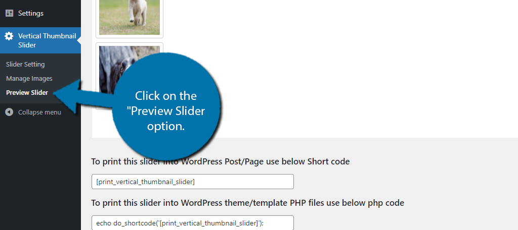 Preview Slider