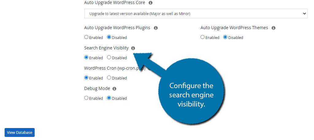 Search Engine Visibility