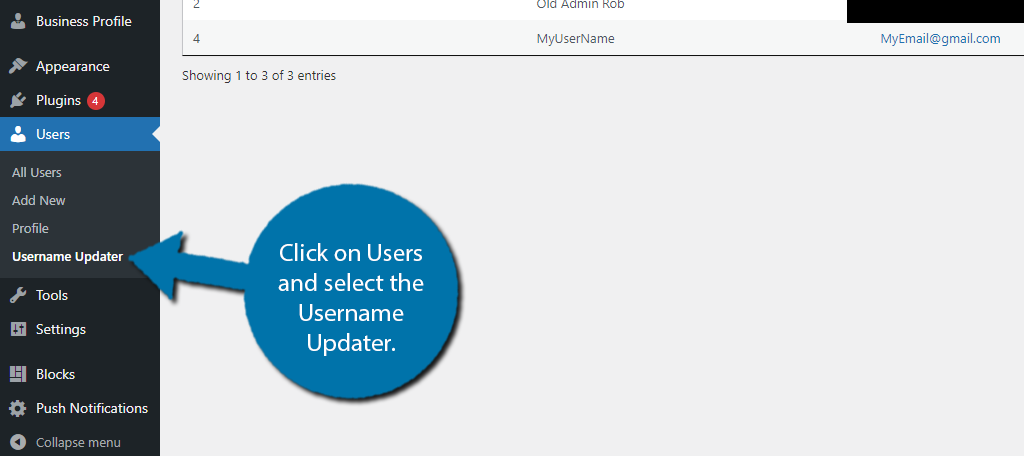 Username Updater Option