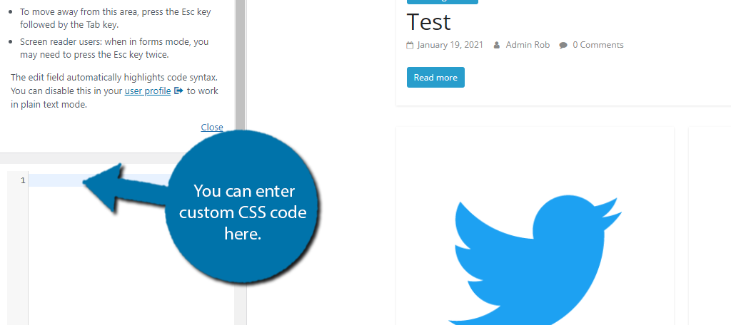 WordPress Custom CSS