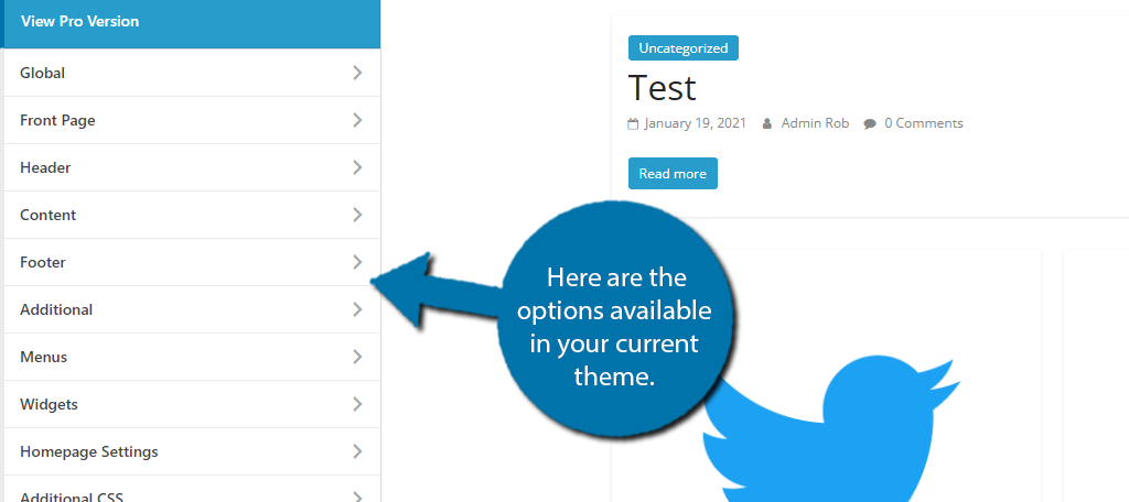 WordPress Theme Options