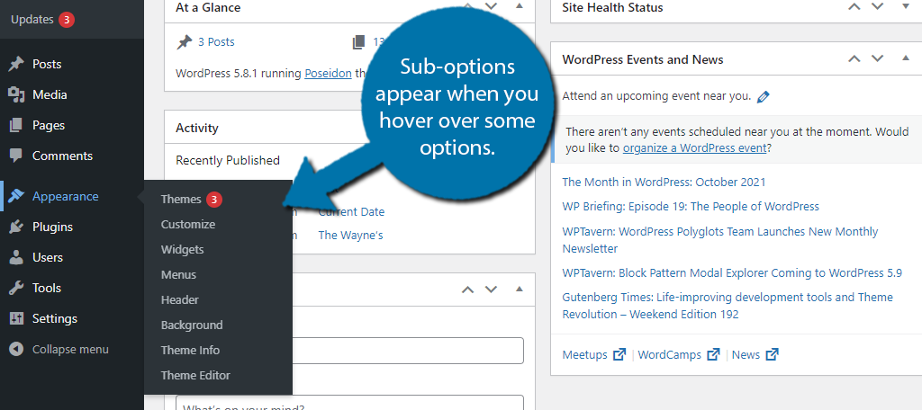 WordPress Admin Panel