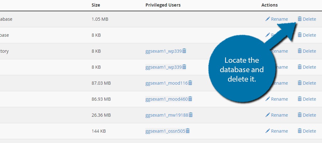 Delete Database