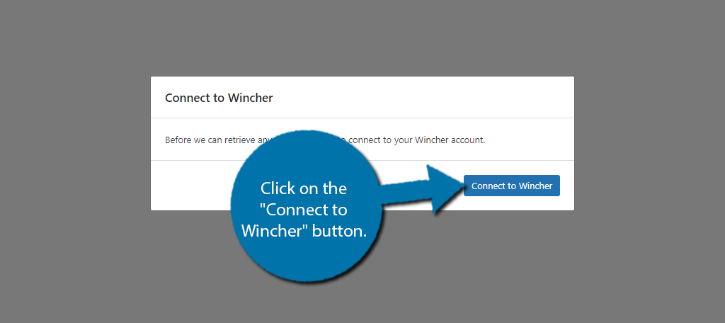 Connect to Wincher
