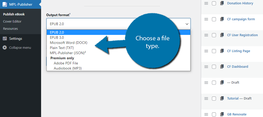 Choose A File Type