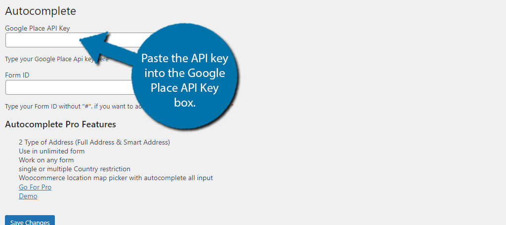 Paste API Key