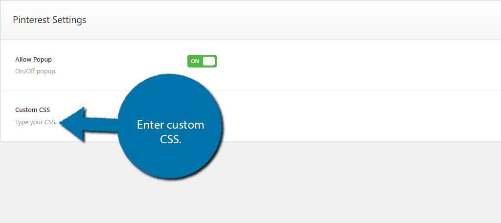Enter Custom CSS