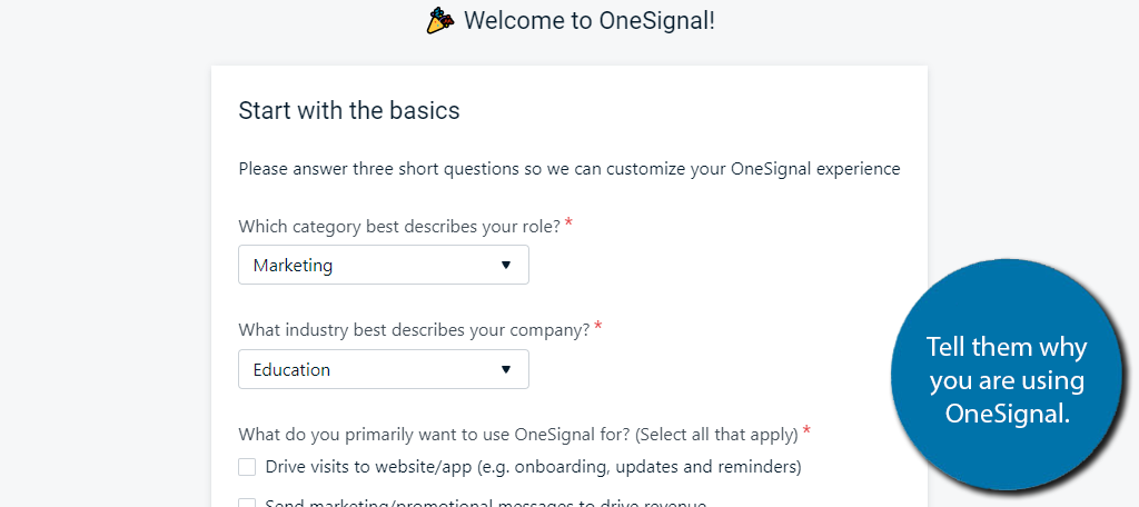 Tell OneSignal why you need push notifications in WordPress