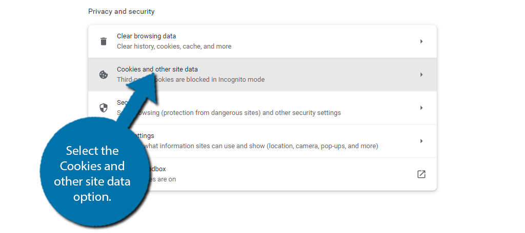 Select Cookies and other site data