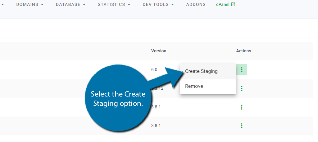 Create A Staging Site in WordPress