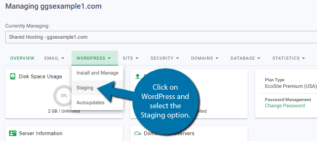 Click on WordPress and select staging to build the site