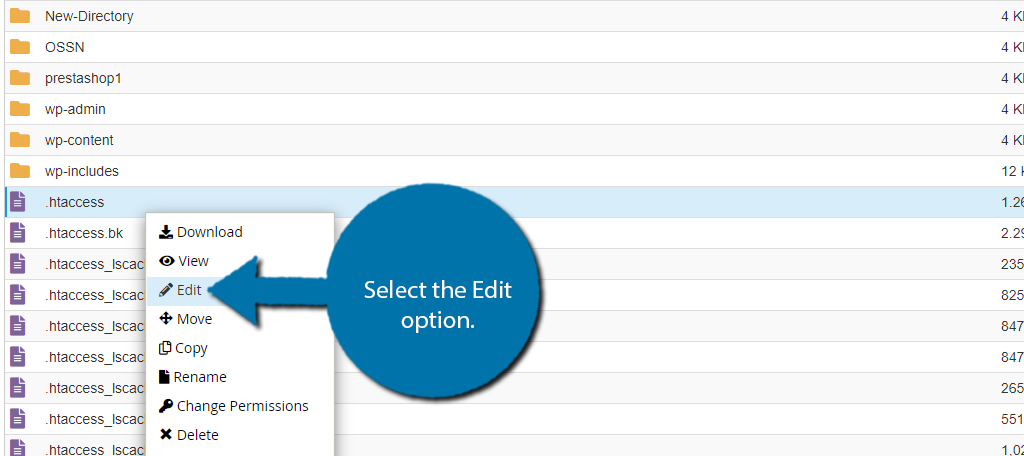 Edit the .htaccess to begin setting up redirects in WordPress