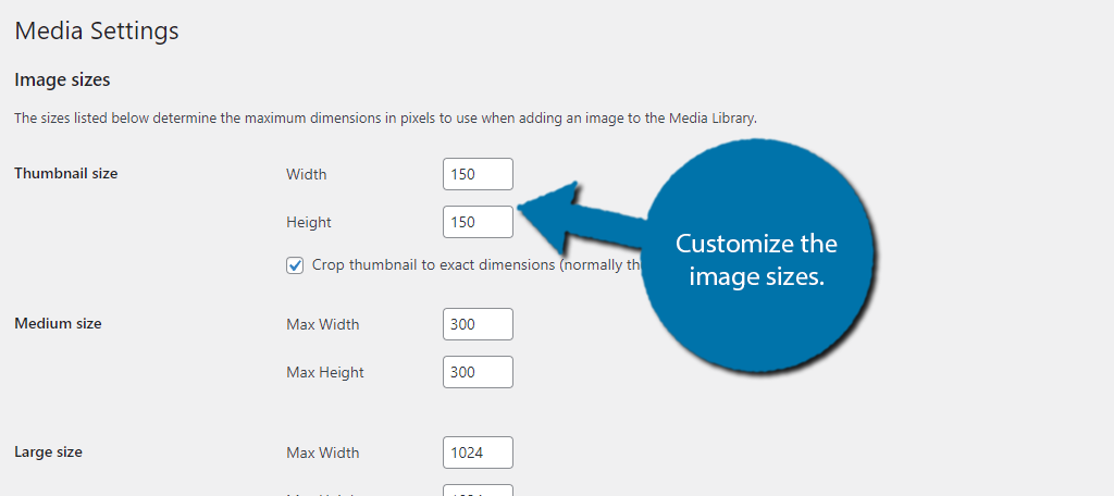 Image Sizes