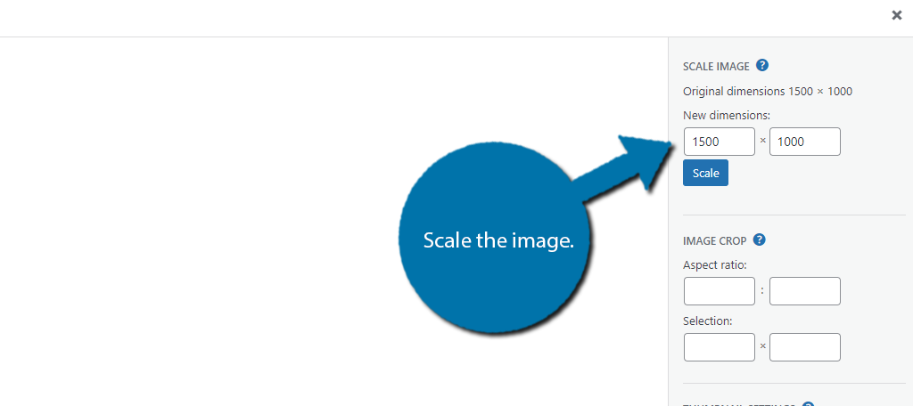 Scale the image to change the featured image size in WordPress