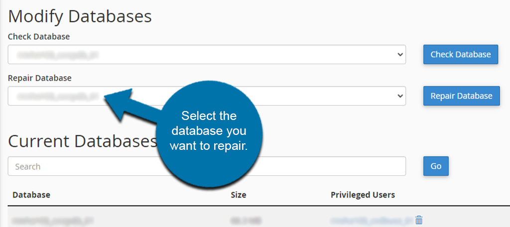 Select the Database to Repair