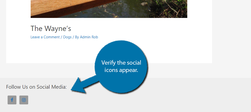 Verify the social icons appear in your WordPress footer area