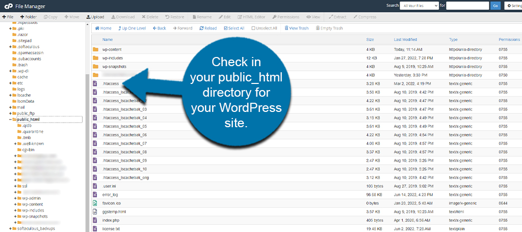 WordPress htaccess Location