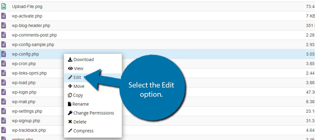 edit the wp-config.php file